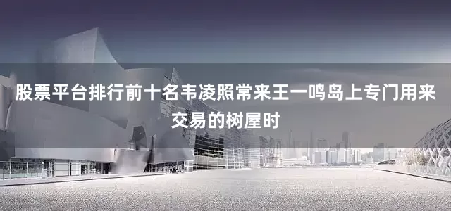 股票平台排行前十名韦凌照常来王一鸣岛上专门用来交易的树屋时