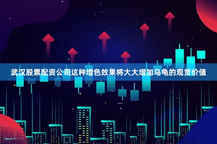 武汉股票配资公司这种增色效果将大大增加乌龟的观赏价值