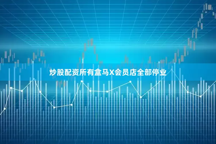 炒股配资所有盒马X会员店全部停业
