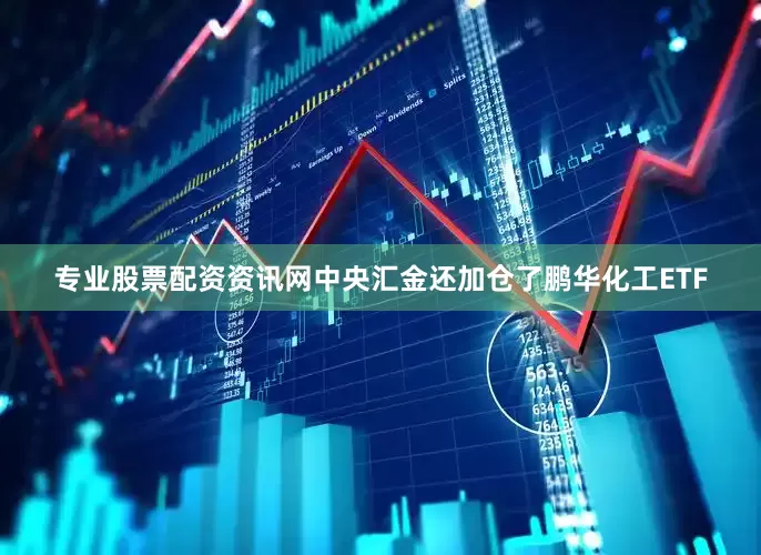 专业股票配资资讯网中央汇金还加仓了鹏华化工ETF