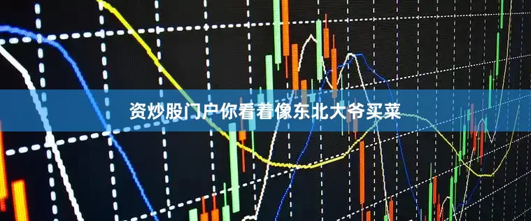 资炒股门户你看着像东北大爷买菜